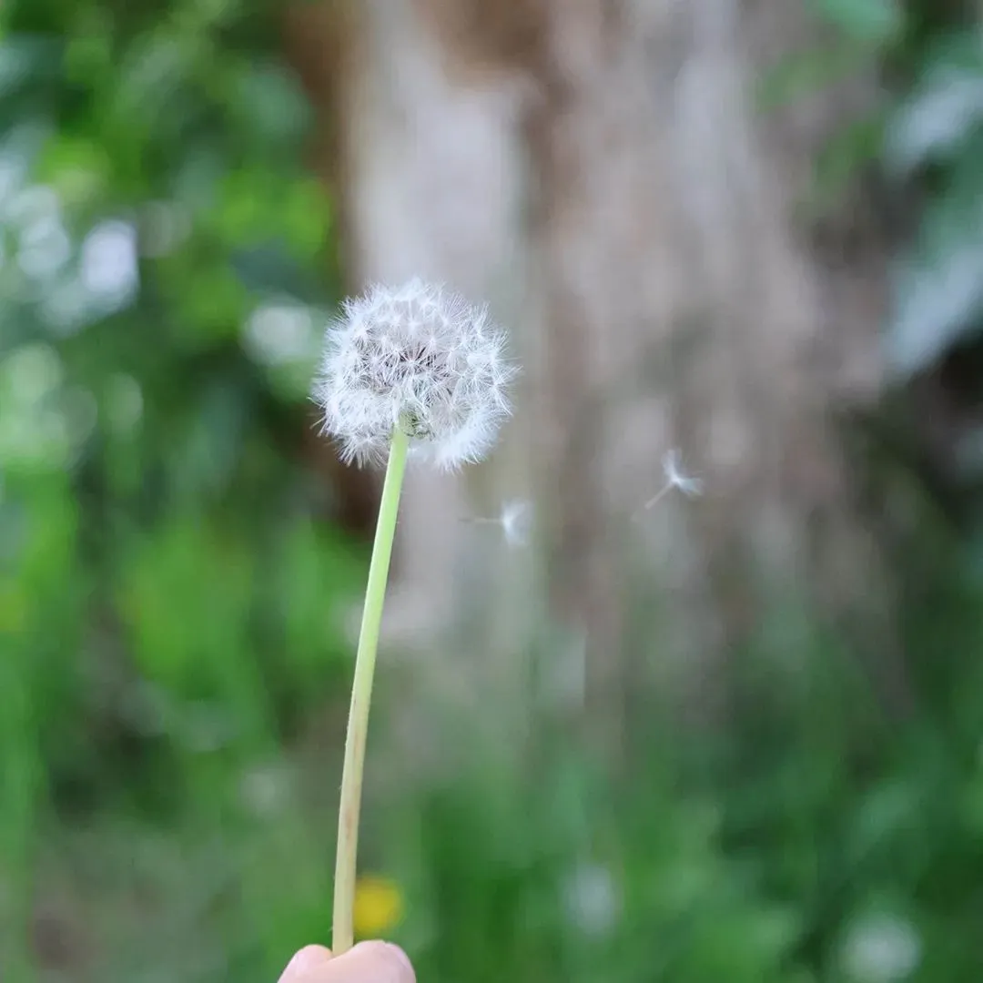 【威职经贸学院】喜报!营销专业师生晋级全国商业精英挑战赛总决赛