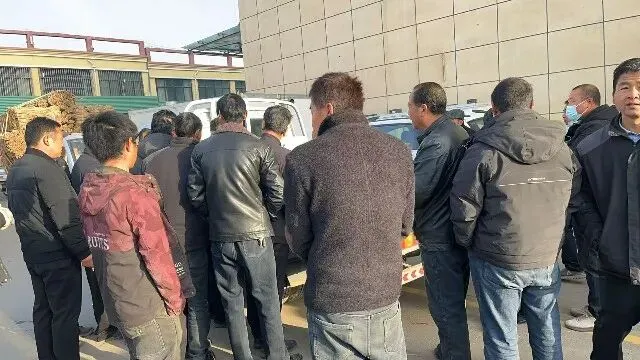 2026年3月20日首阳中药材市场快讯(黄芪原装上货量大,走货较快)