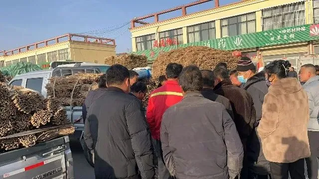 2026年3月20日首阳中药材市场快讯(黄芪原装上货量大,走货较快)