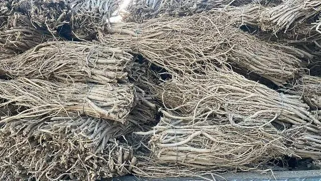 2026年3月20日首阳中药材市场快讯(黄芪原装上货量大,走货较快)