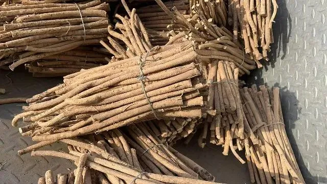 2026年3月20日首阳中药材市场快讯(黄芪原装上货量大,走货较快)