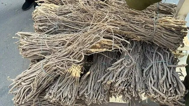 2026年3月20日首阳中药材市场快讯(黄芪原装上货量大,走货较快)