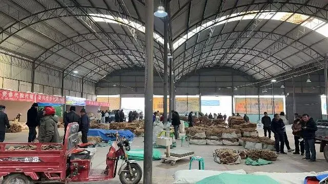 2026年3月20日首阳中药材市场快讯(黄芪原装上货量大,走货较快)