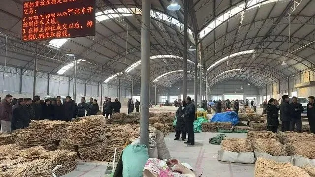 2026年3月20日首阳中药材市场快讯(黄芪原装上货量大,走货较快)