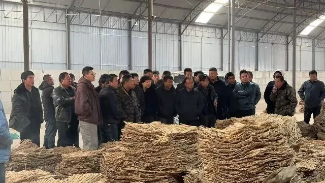 2026年3月20日首阳中药材市场快讯(黄芪原装上货量大,走货较快)