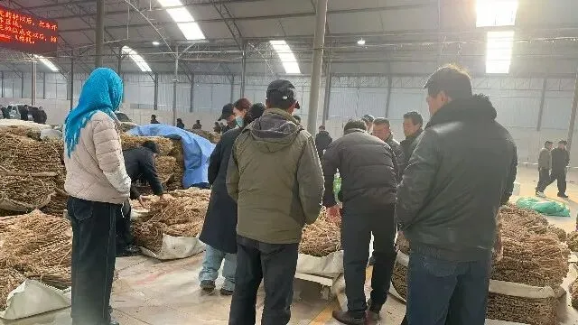 2026年3月20日首阳中药材市场快讯(黄芪原装上货量大,走货较快)