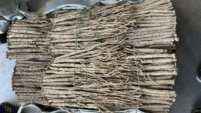 2026年3月20日首阳中药材市场快讯(黄芪原装上货量大,走货较快)