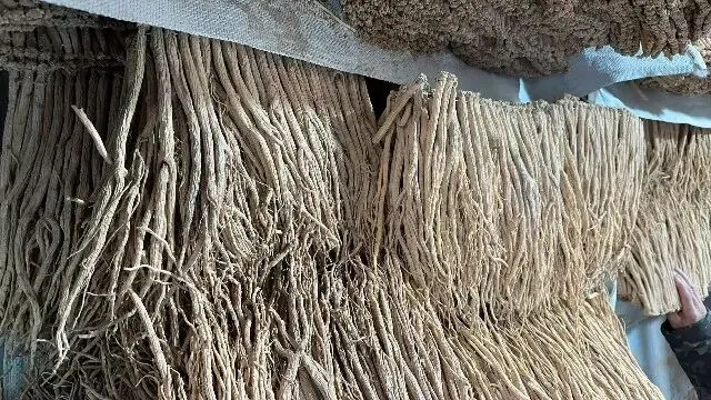 2026年3月20日首阳中药材市场快讯(黄芪原装上货量大,走货较快)