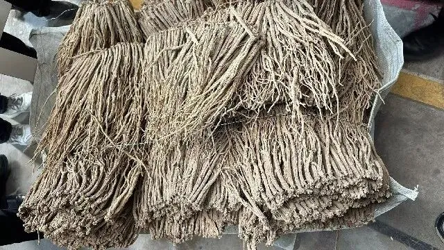 2026年3月20日首阳中药材市场快讯(黄芪原装上货量大,走货较快)