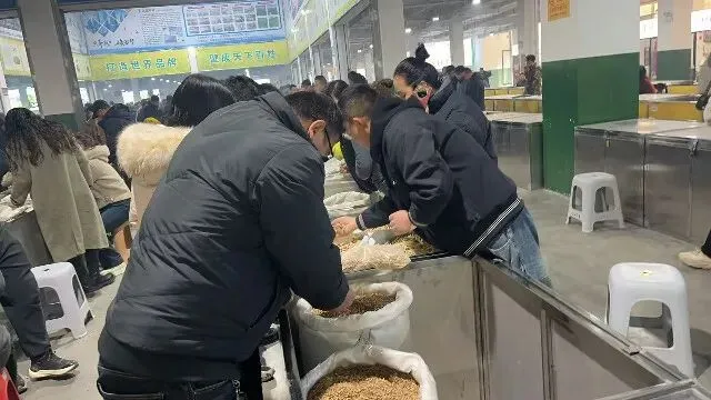 2026年3月20日首阳中药材市场快讯(黄芪原装上货量大,走货较快)