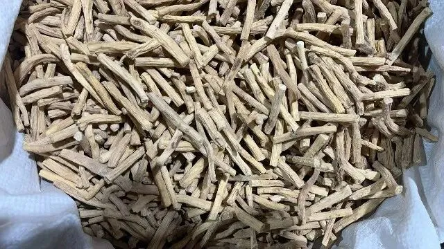 2026年3月20日首阳中药材市场快讯(黄芪原装上货量大,走货较快)