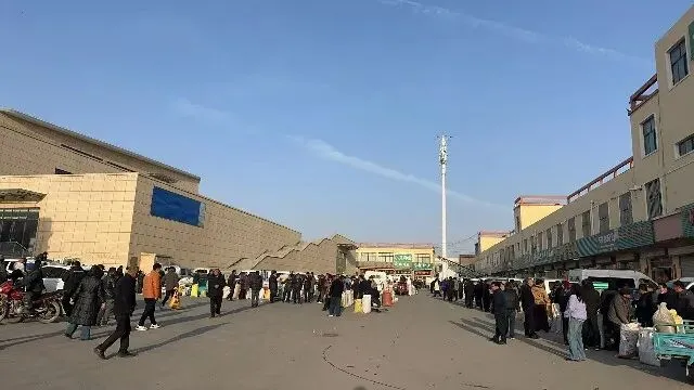 2026年3月20日首阳中药材市场快讯(黄芪原装上货量大,走货较快)