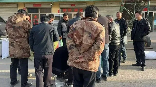 2026年3月20日首阳中药材市场快讯(黄芪原装上货量大,走货较快)