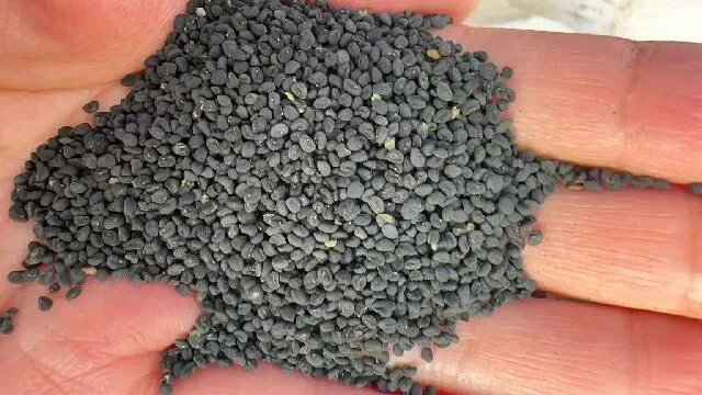 2026年3月20日首阳中药材市场快讯(黄芪原装上货量大,走货较快)