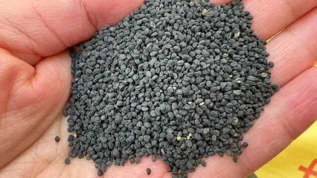 2026年3月20日首阳中药材市场快讯(黄芪原装上货量大,走货较快)