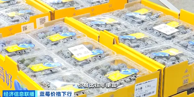 【1024·市场】价格跳水!“蓝莓自由”要来了