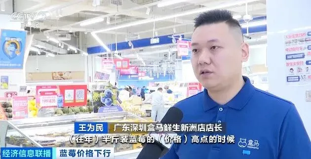 【1024·市场】价格跳水!“蓝莓自由”要来了