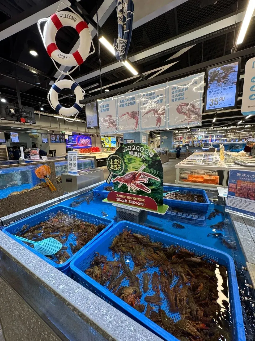 品牌营销动向(一)「辛芷蕾成为雅诗兰黛全球彩妆代言人」