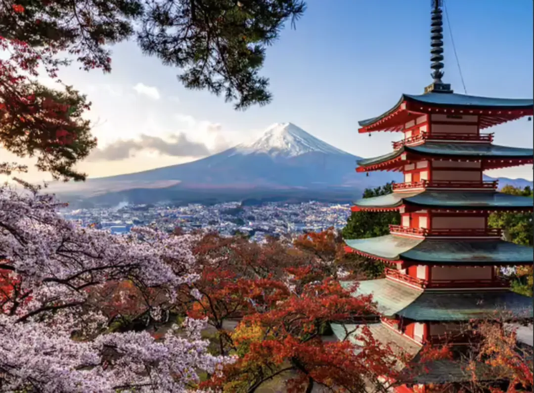 印度游客填补了中国游客不去日本的市场空白??日本人:素质实在难以接受!