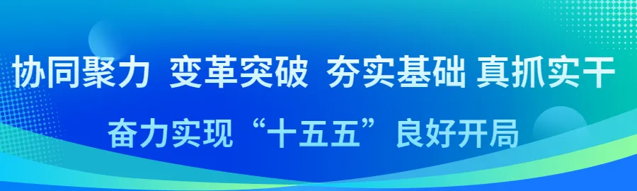 一月一先模 | 她如玫瑰,在营销一线扎根绽放