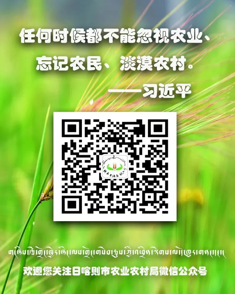 日喀则市开展农机市场专项检查 筑牢农业生产安全防线