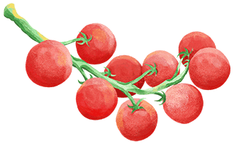 埃及橙子如何占领中东市场?——中国柑橘产业可借鉴的国际贸易案例