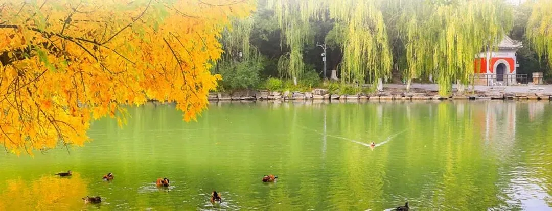 《北京大学首席营销官研修班》最新简章