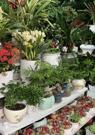 铜仁花鸟市场花之约花艺门店信息