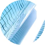 “你点我检”进市场 三级联动护食安