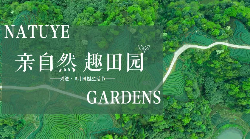 370份2026最新版五一/五月系列营销活动方案专题资料合集(可下载完整版)