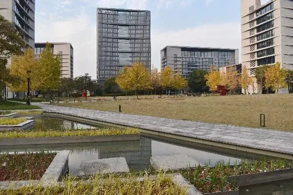 融协同赋能消费“加速跑” 政策红利直达市场终端