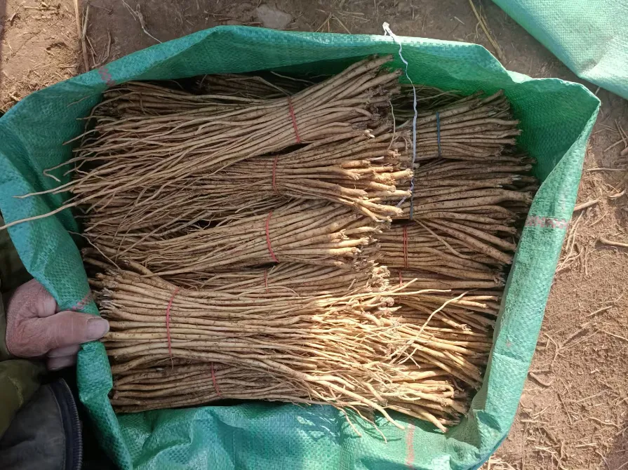 2026年3月20市场快讯