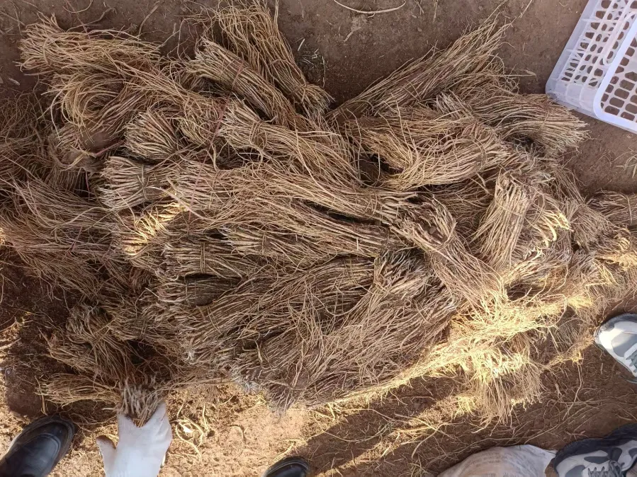 2026年3月20市场快讯