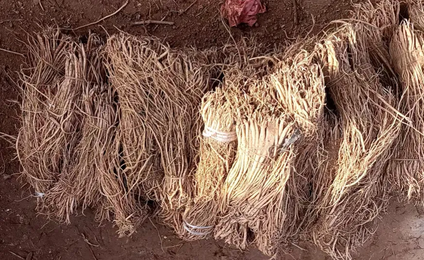 2026年3月20市场快讯