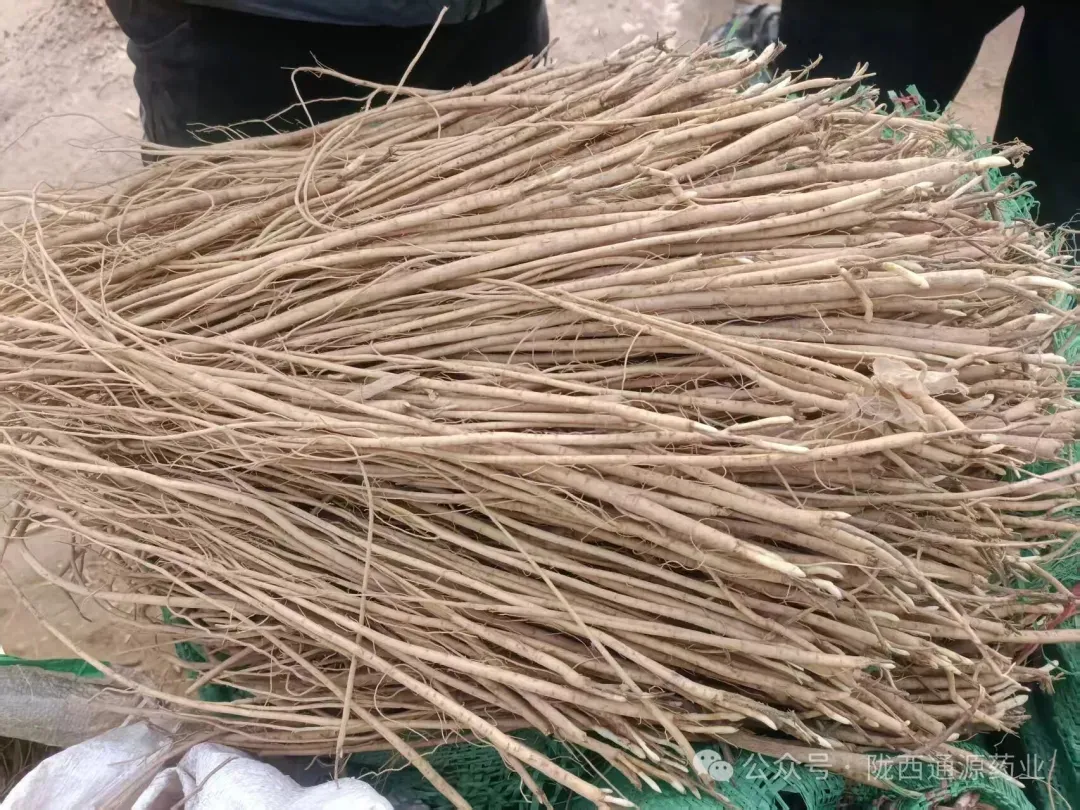 2026年3月20市场快讯