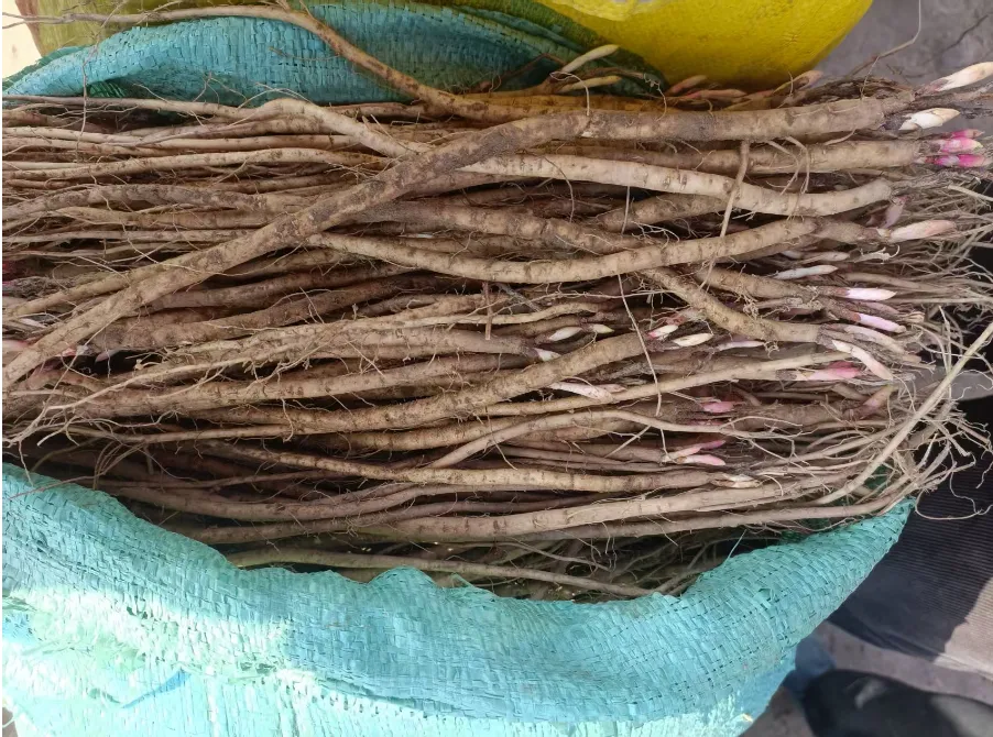 2026年3月20市场快讯