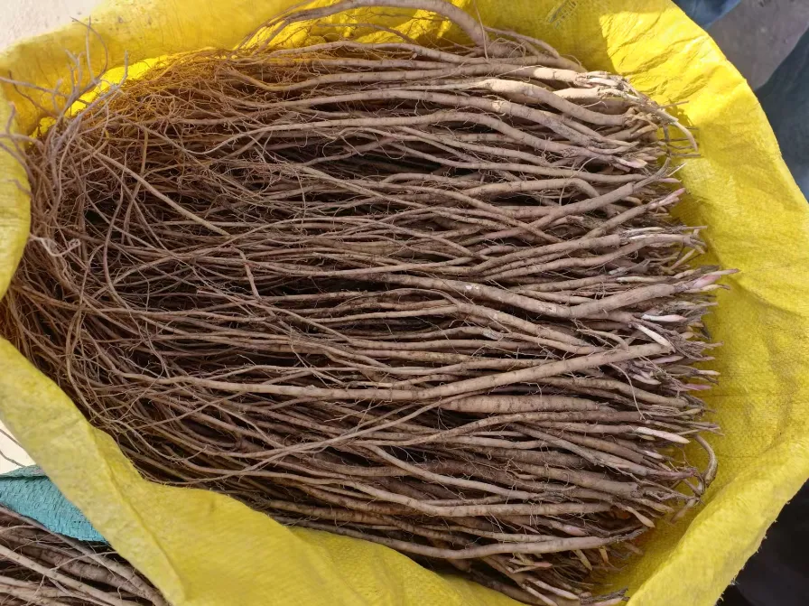 2026年3月20市场快讯