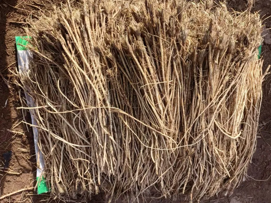 2026年3月20市场快讯