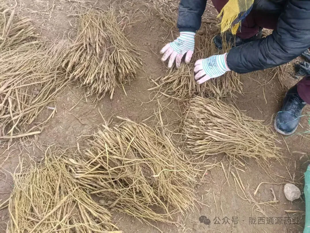 2026年3月20市场快讯