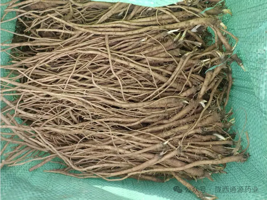 2026年3月20市场快讯