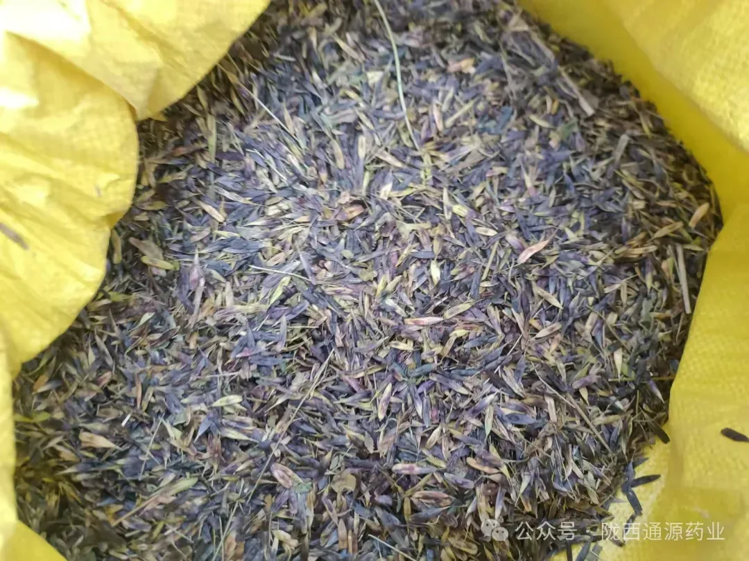 2026年3月20市场快讯