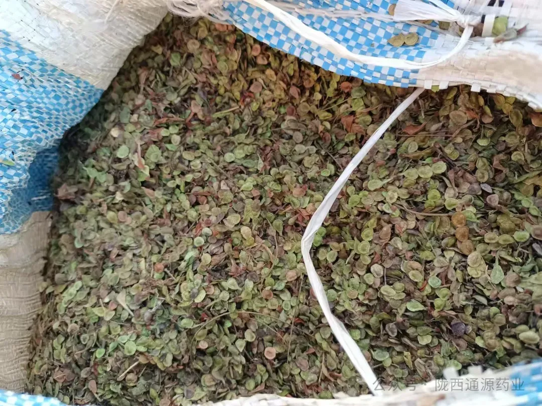 2026年3月20市场快讯