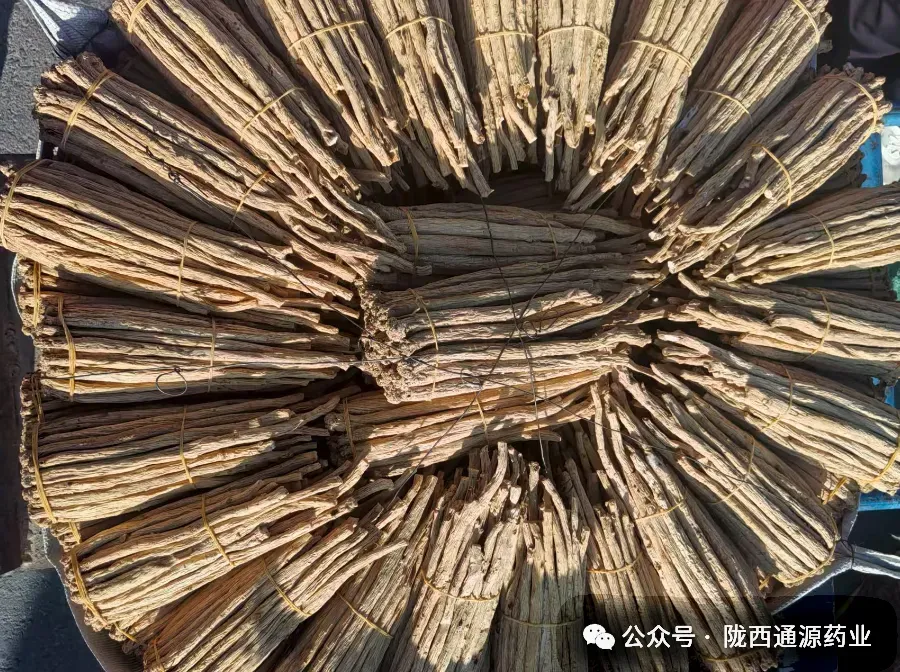 2026年3月20市场快讯