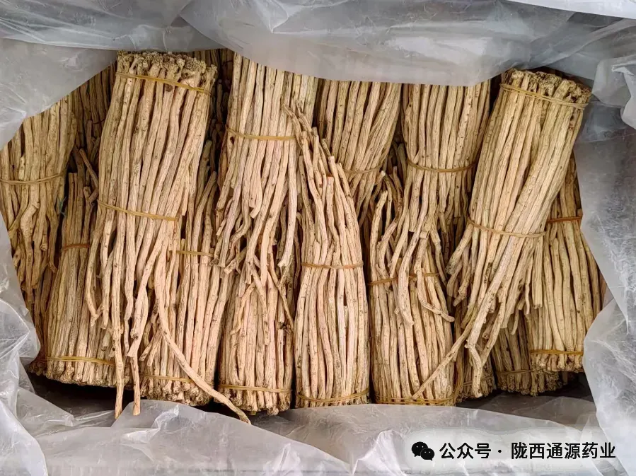 2026年3月20市场快讯