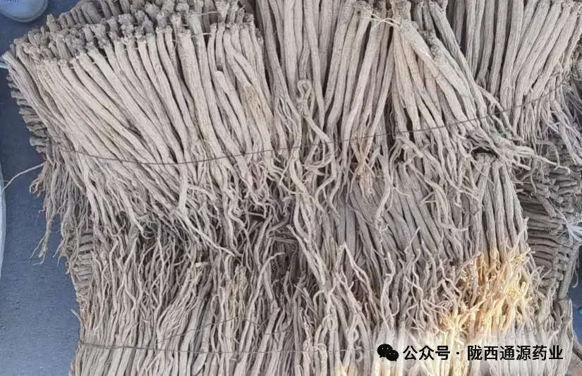 2026年3月20市场快讯