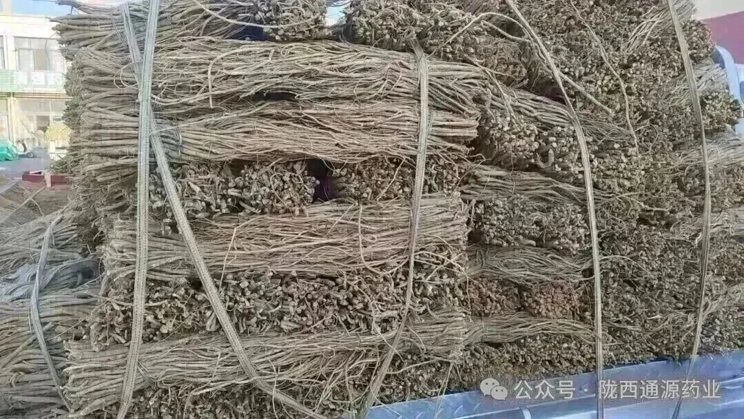 2026年3月20市场快讯