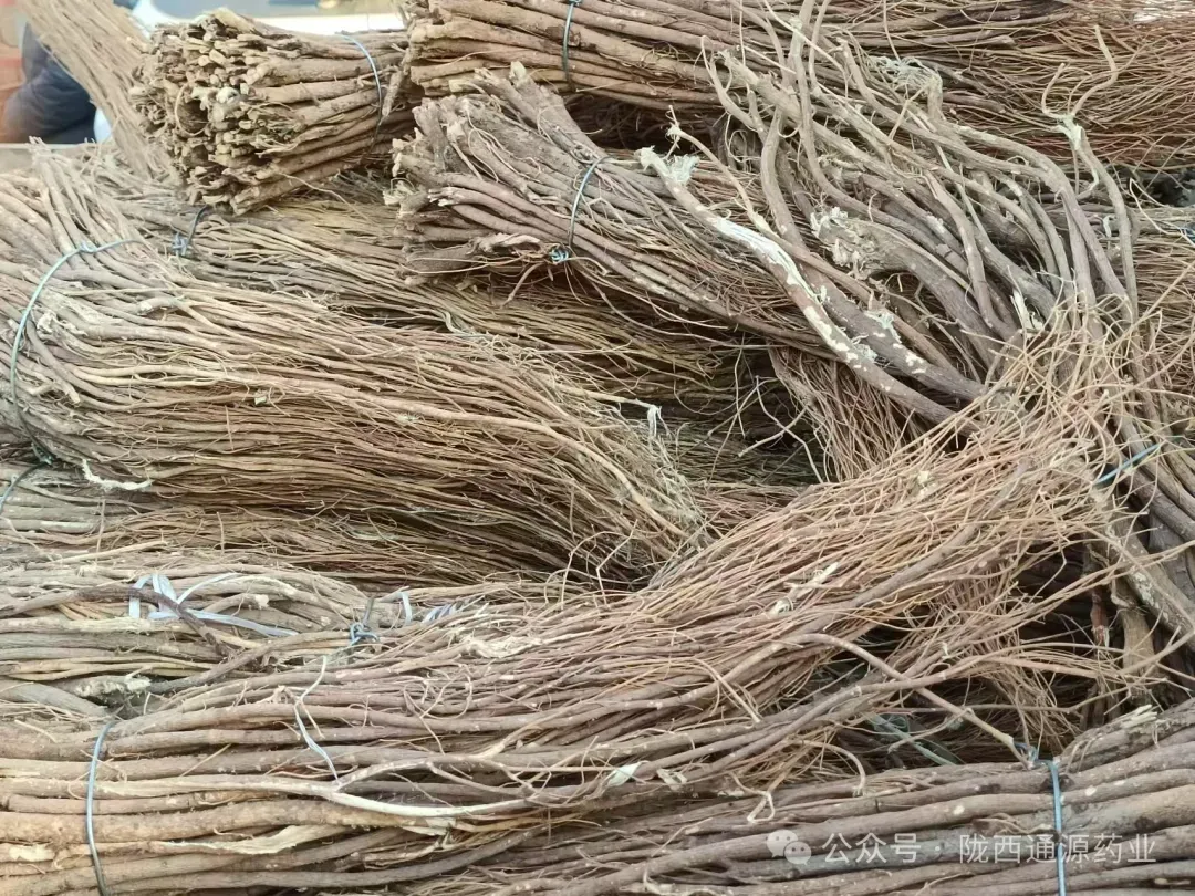 2026年3月20市场快讯