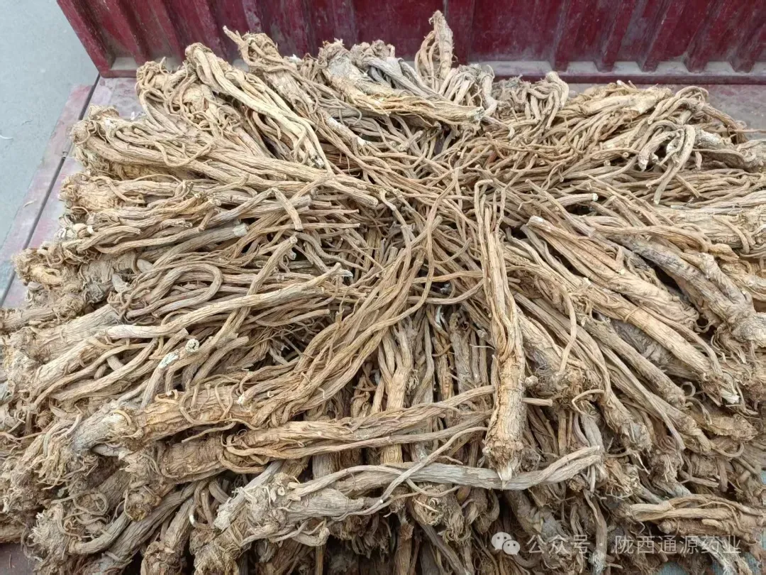 2026年3月20市场快讯