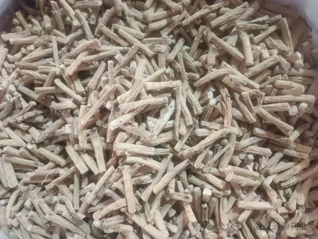 2026年3月20市场快讯