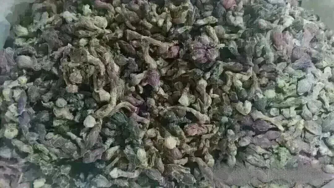 2026年3月20市场快讯